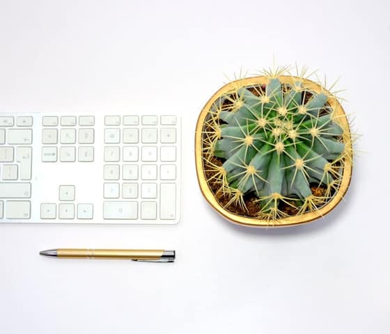 Plante de bureau design